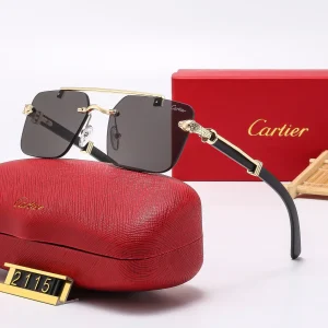 frameless leopard sunglasses 2115